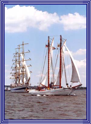 A.J. MEERWALD AND MIR