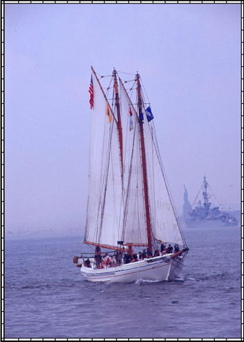 A.J. MEERWALD
