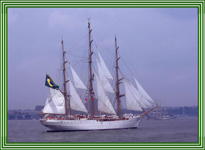 CISNE BRANCO