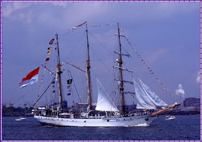DEWA RUCI