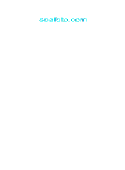 KALMAR NYCKEL