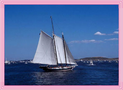 LADY MARYLAND