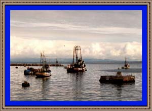 MONTEREY BAY