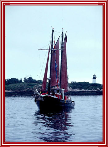 NORFOLK REBEL