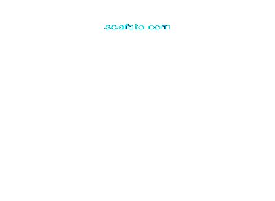 POGORIA