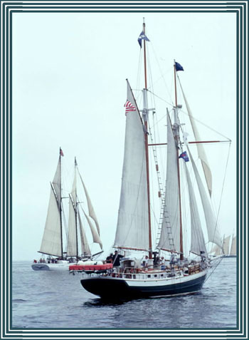 RACHEL B. JACKSON