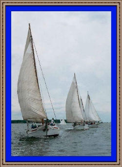 THREE SKIPJACKS